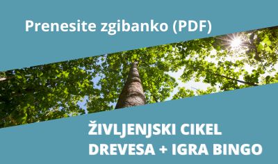 Igra Bingo